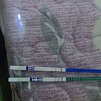 月经老是不准确  有时候8 有时候9有时候10  11  这个月没来月经推迟了5天    今天是第五天 闲着没事拿试...