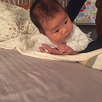 宝宝会抬头了