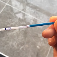 请问大家这样是有了吗？颜色好淡，觉得不太明显，都不太确定，经期是2月19日，3月1日始同房