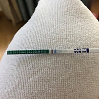 这是意念灰吗？ g