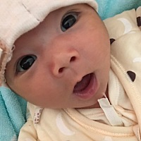 宝宝出生的第十五天，越看越可爱 嘻嘻