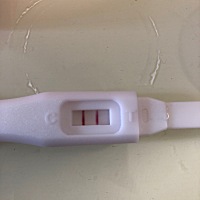 中午测的第一根  这是有了吧。  没有任何反应。大姨妈上个月13号来的。 每次都提前。 上个月26号是排卵...