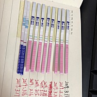 昨晚 昨天晚上跟老公一起同房了，今天要不要再来一次，排过卵了这是？