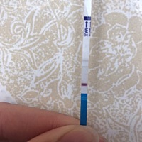 2月15号来的例假，3月3号排卵期同房了，因为老公单位特殊，所以这个月就同房了一次，3月14号去医院检查...