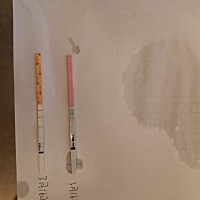 排卵试纸是这样的，现在可以同房了吗？