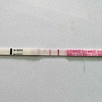 最近想要孩子了，做了孕检没啥问题，也买了金秀儿排卵试纸检查