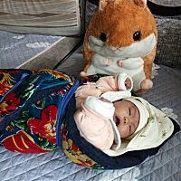 宝宝老是爱吐奶，怎么回事啊？每次睡觉好好的准备吐奶就动 哭几声就吐奶了大口的吐，有时吐得也从鼻子出来