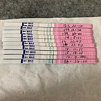 排卵试纸，这是已经排了吧？