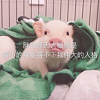 2019.3.11月经开始日，2019.3.25是排卵日（说的都是阳历）如果中奖，预产期具体是阳历2019.12月几号？求...