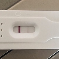末次月经2.12日 软件显示2.28排卵 3.14日来月经 但是这几天一直没来 肚子还一直疼 像来月经那样  刚才测...