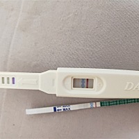 连着测了好几天都是白板，本来都要放弃了，今早上抱着最后一试的心态（因为今天是大姨妈到访的日子），...