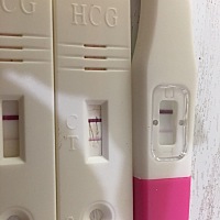 药店的说的这个是假性什么的，不一定是怀孕了，这个怀孕几率多大啊