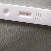 谁能告诉我这怀孕了吗？