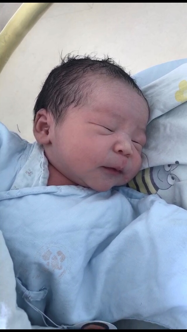 我只想做一个安安静静的美男子