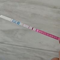 各位大神，这样是排卵了，还是还没。怎么看呢？