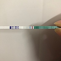 排卵后第10天，刚测到意念灰。。。