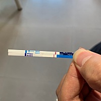 3月14号测的 3月15日 3月17号 三月17号 就在今天发现自己怀孕啦 一胎猴宝宝3月10日怀的 二胎猪宝宝3月17...