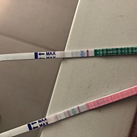 绿色是试纸，粉色是排卵试纸，仙女们帮我看看我中奖了没