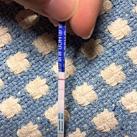 像是怀孕了，多久可以去医院检查，挂什么科