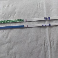 一起测试的，为嘛有2种结果，心塞，不想去抽血，安心等月经的我这哈又开始担心，怀孕了还是没怀啊