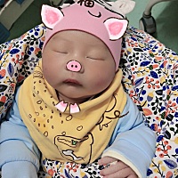 第四天的猪宝宝🐷，白天睡的特安静，晚上就是小恶魔，老娘都憔悴了🙃