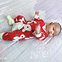 有宝宝四个月，放下孩子远处工作的吗？