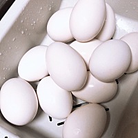 都说怀孕期间吃鹅蛋能去胎毒生出来孩子没有黄疸！是真的么？