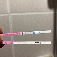 3月10号监测卵泡，医生让同房，今天测排卵试纸两条杠，早孕白板，谁能帮我看看这个月是不是又泡汤了