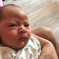 拉屎的表情