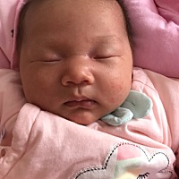 脸上长得是什么啊，还越来越多了，刚出生的时候脸上光光滑滑，被我养的越来越丑了