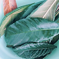 ♥️ 俊逸宝宝第一次上学 还不到一个星期就病倒了 开始还是咳嗽后来直接发高烧 后来输液三天，发烧好了 ...