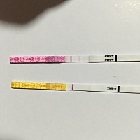 月经推迟两天，排卵试纸一深一浅，早孕试纸白班，怎么回事啊