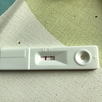 我是上个月2月9日来例假的，3月13日测试弱阳性，因为我例假特别准，知道自己是怀孕了，到3月18日也就是...