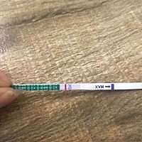 刚刚测了又是白板失望大姨妈推迟了四天最近胸胀痛又很容易饿求解