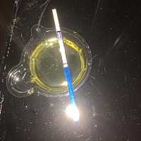 上个月23号那个的但是体外排精 然后这个月该15号来姨妈 现在都没有来 有时候早上还有点恶心不知道怎么回...