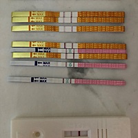 emmm……昨天用排卵试纸，今天用的早早孕。(o^^o)。这是经过排卵又怀孕了么(o^^o)？