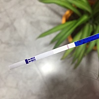 末次月经2月21号 今天忍不住测了一下白板 胸有一点胀痛 结婚两个月 月经一直正常  哎 是不是我太心急了 ...