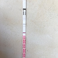 最近小腹老隐隐痛，腰酸，犯困，末次月经2月15号，今早用晨尿测早早孕还是白板，备孕4个月了，心灰意冷...