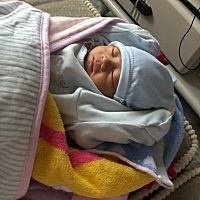 各位宝妈，宝宝不吸母乳怎么办啊？刚出来那会儿没有奶水，奶奶怕他饿着就用奶瓶开了奶粉给他吃，然后他...