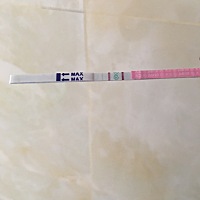 这是要排卵了，可惜这个月吃了感冒药，想成功又怕，都说吃了感冒药怀不好，哎！都备孕一年多了