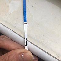 早早孕时间放久了的意念灰不作数吧？ 我看到了意念灰。不知道你们能不能看到？早上起床测 想等看结果。...