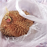 为娘的为了你可没少吃啊！喝了各种汤吃了3个榴莲，就为你一口饭，娃你太坏啦羊奶咋就不喝呢？