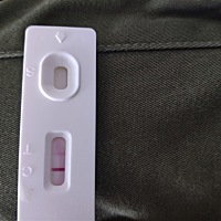 请问一下大家这是有还是没有