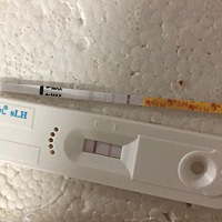 半定量排卵试纸和普通的真的有区别吗？、普通的这几天都是一点点的红、还有两天到排卵期了