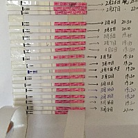 测了一个月，排卵试纸都弱阳，昨天大姨妈来了，难道是没排卵，上次大姨妈完了到时有像姐妹们说的白带很...