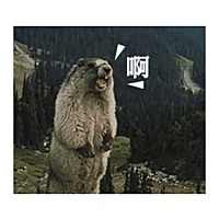 每天晚上都睡不好，忽冷忽热的折腾！！！有11.20预产期的宝妈嘛