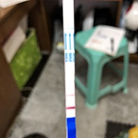 这是怀孕了吗？