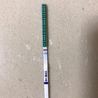 上面一条是昨晚测的，下面一条是早上刚测的，末次25号，是有了吗？