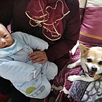 一直陪伴到出生的🐶宝宝