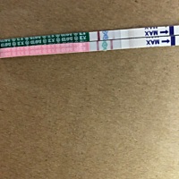 这是有了吗？求回复